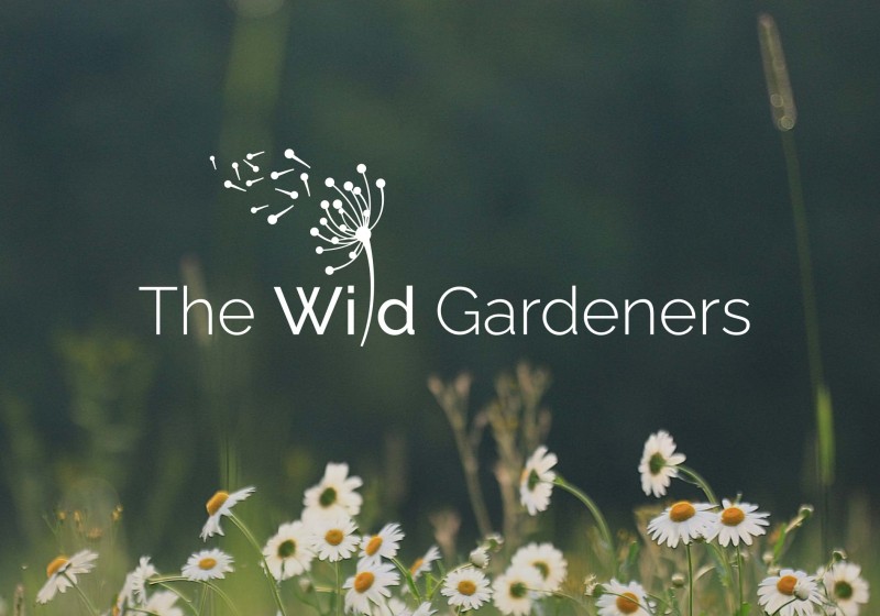 The-Wild-Gardeners-Hero-image