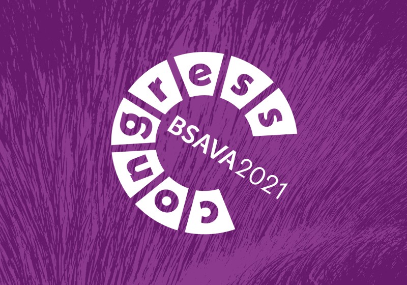 BSAVA Congress 2021 image