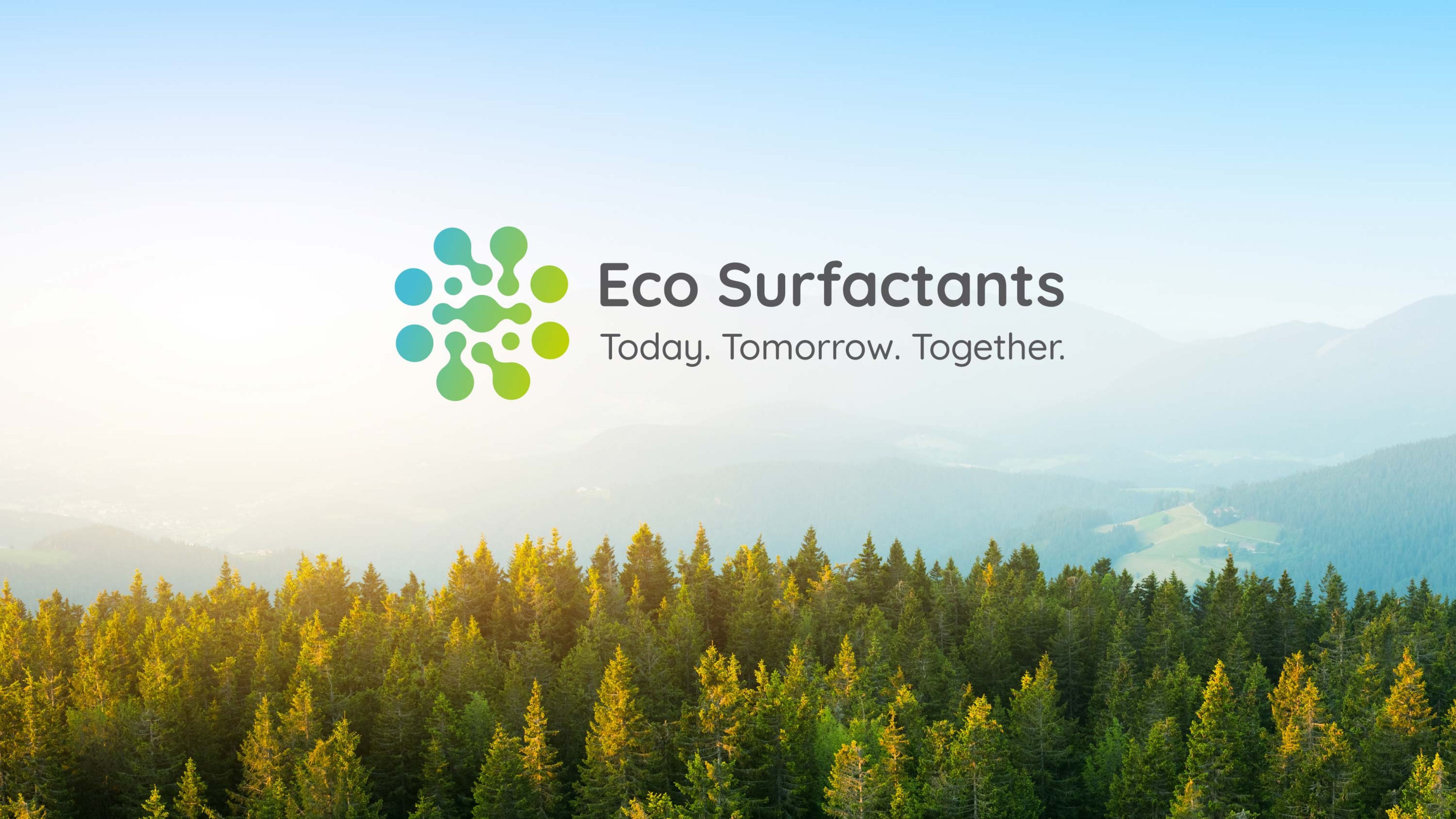 Surfactants & Sustainability Hero Image