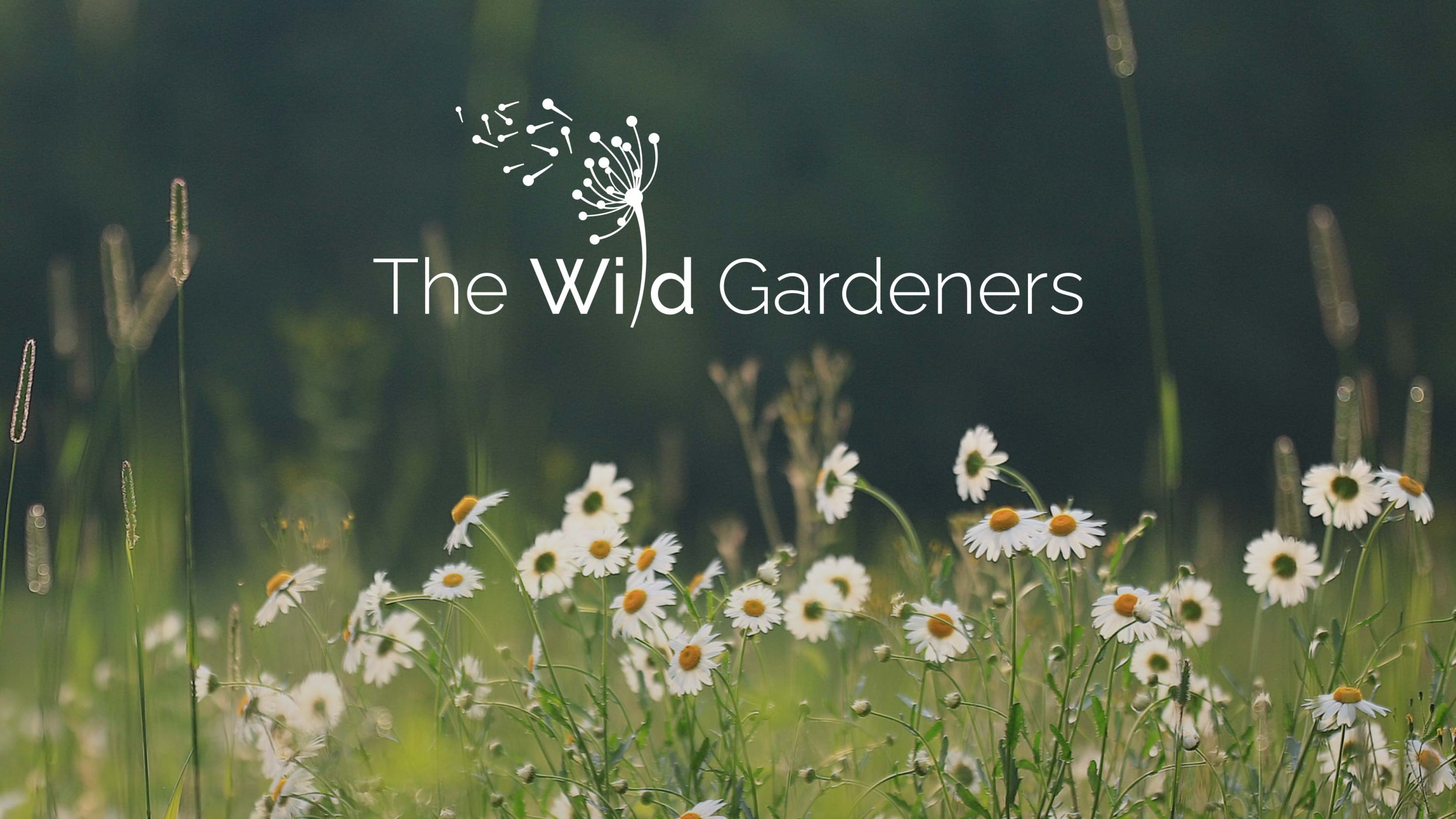 The-Wild-Gardeners-Hero-image