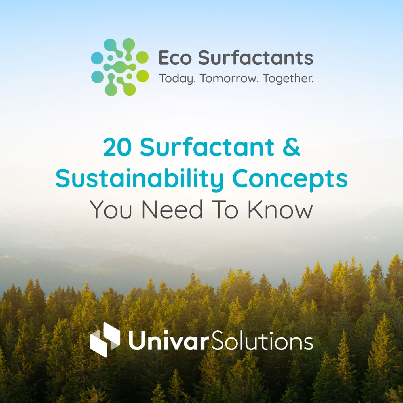 Surfactants & Sustainability SM post