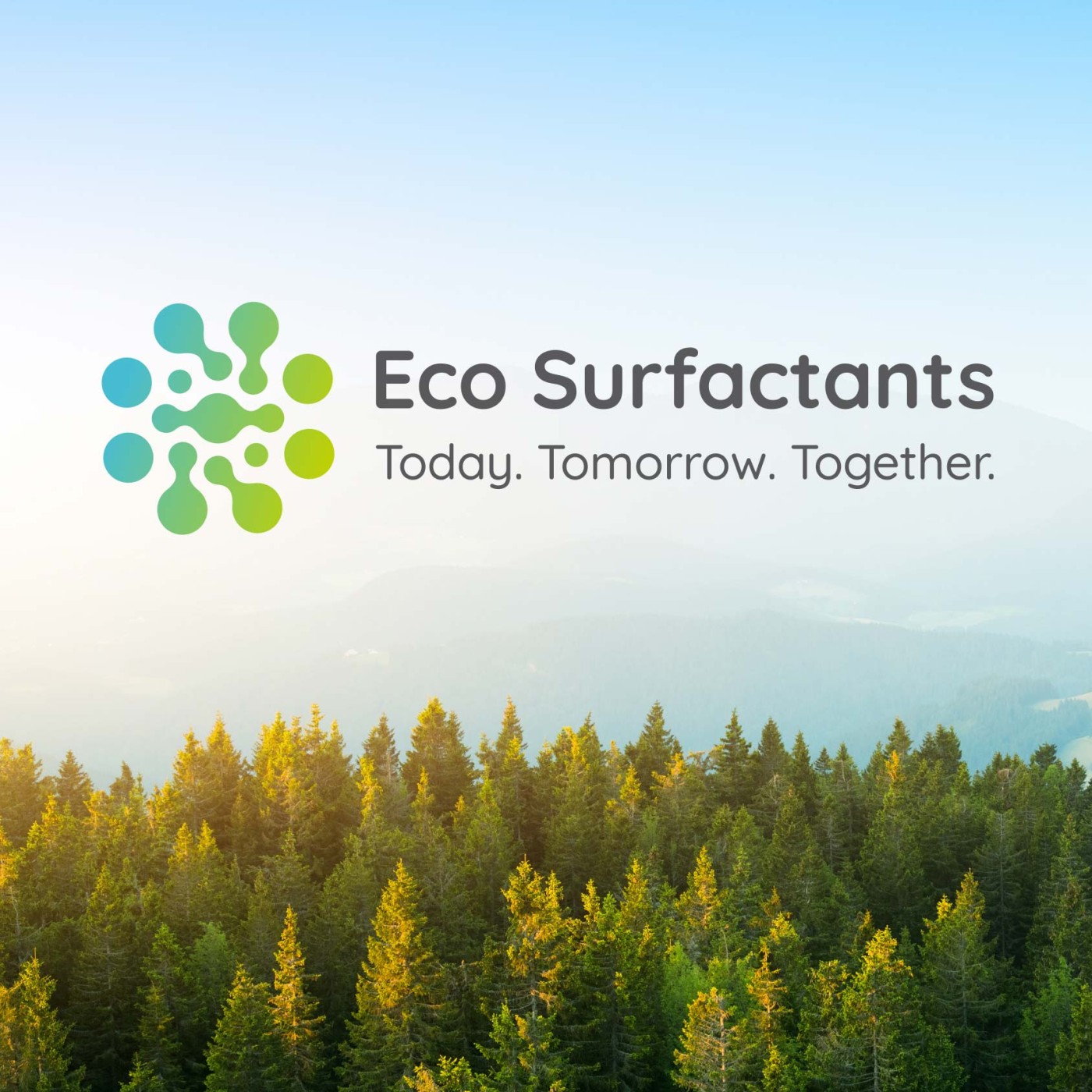Surfactants & Sustainability Hero Image