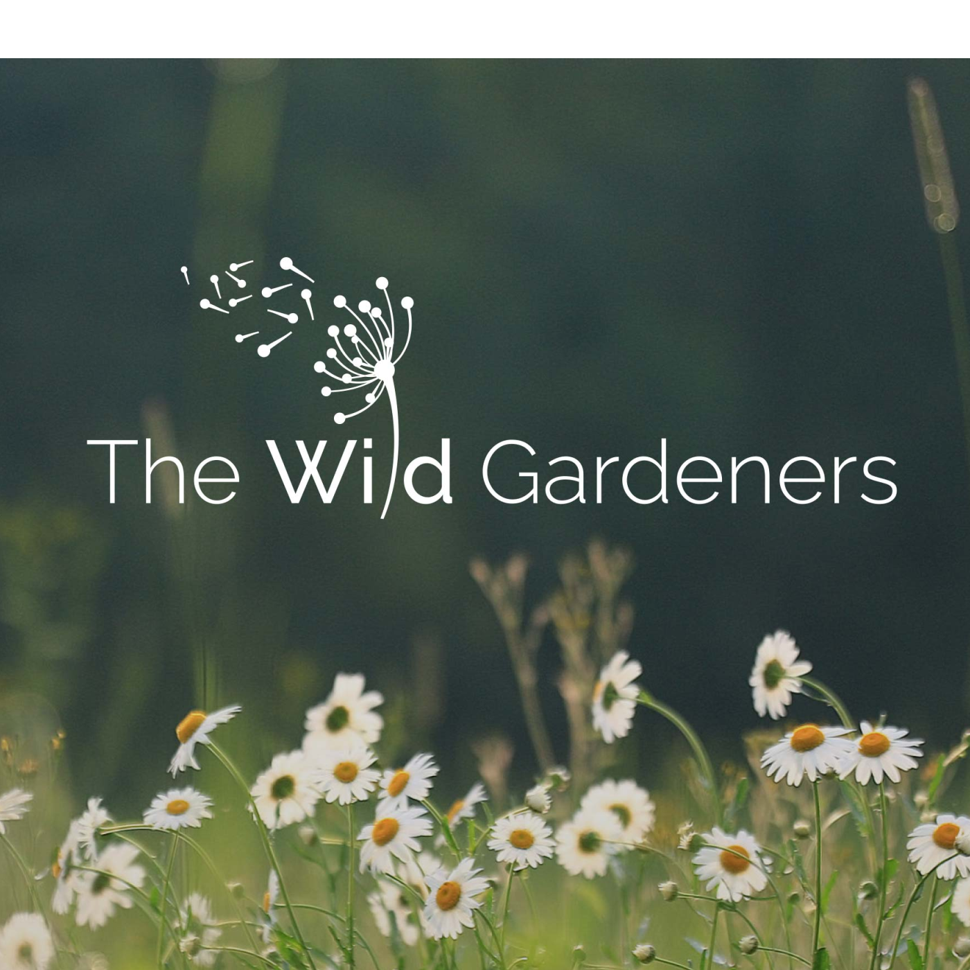 The-Wild-Gardeners-Hero-image