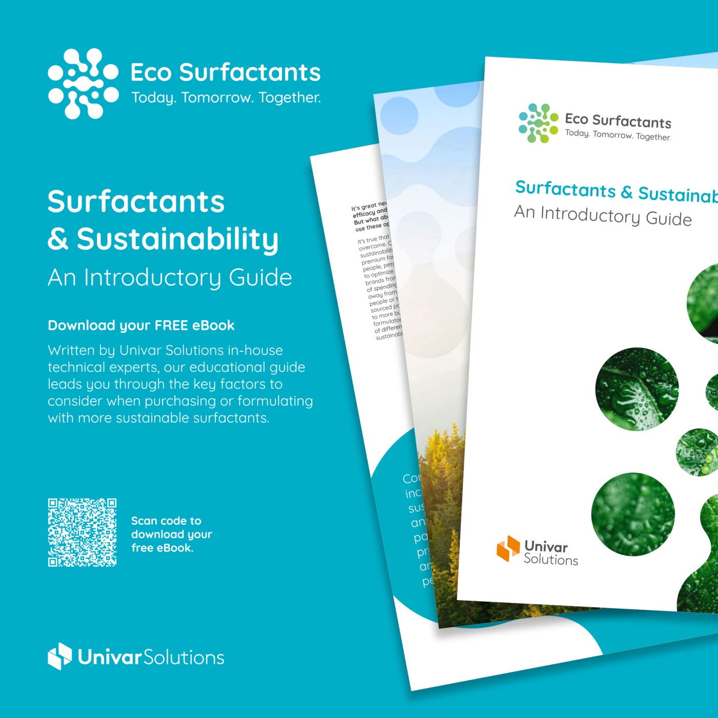 Surfactants & Sustainability SM post